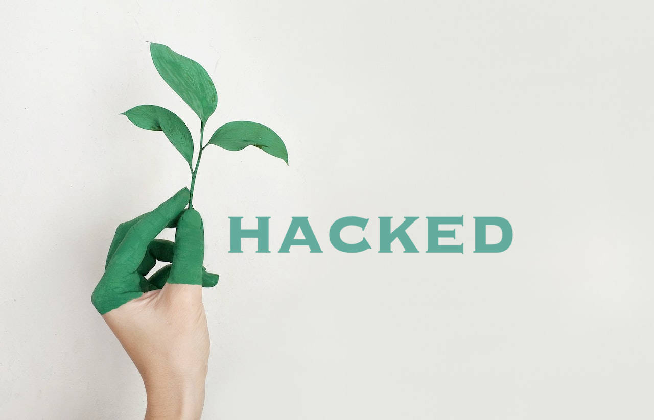 Hackerato Twitter del Ministero della Transazione Ecologica