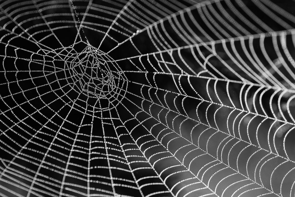 Rete più sicura con Digital Market Act