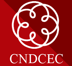 La Regola Tecnica n. 2 delle Linee Guida del CNDCEC